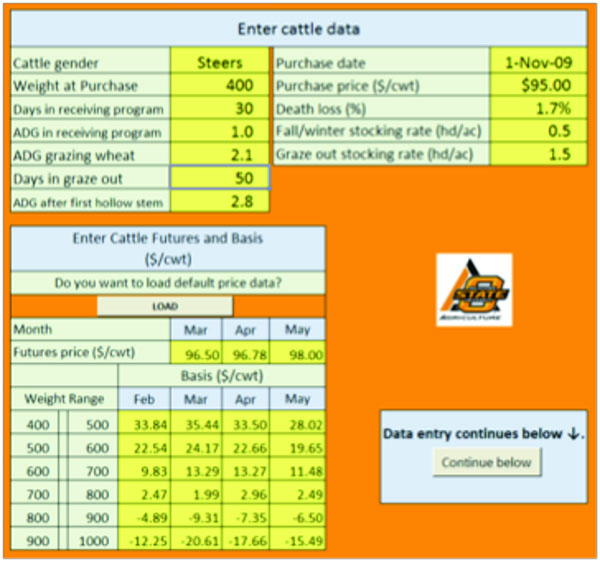 Cattle info tab with examples of the information that the user is required to input. Cattle info tab with examples of the information that the user is required to input.