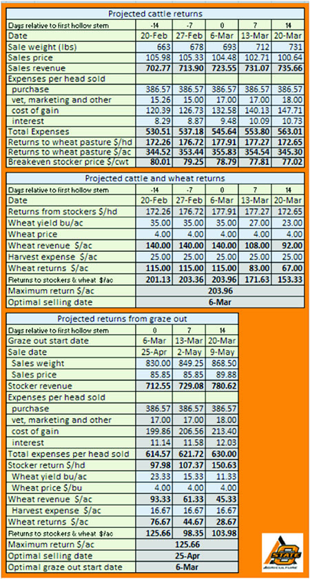 The return tab which will show the projected returns that the user could get based on the information that was previously provided. The return tab which will show the projected returns that the user could get based on the information that was previously provided.