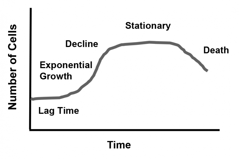 Microbial growth curve.
