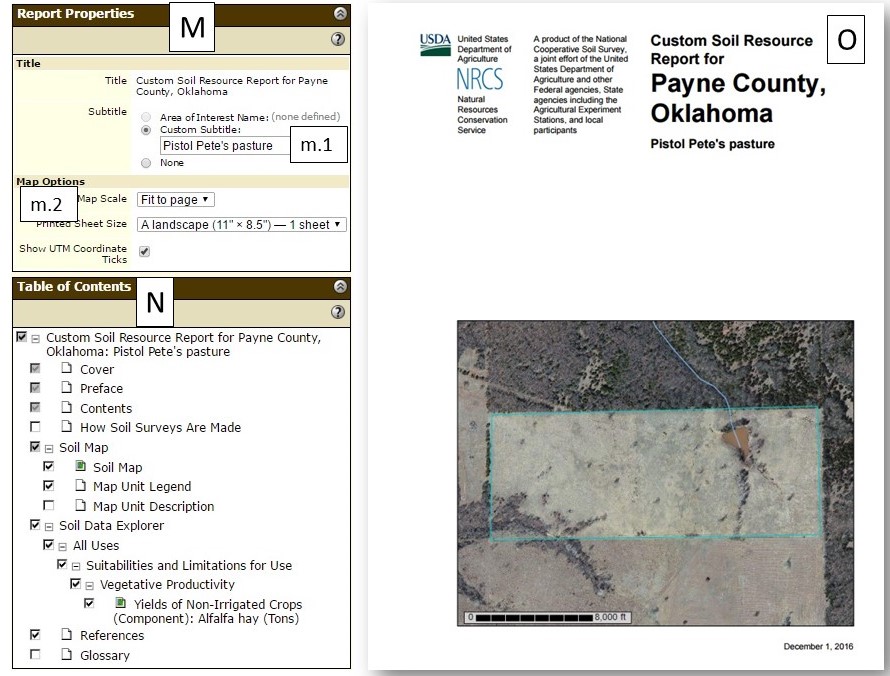 Report Download Options panel and Final Report Report Download Options panel and Final Report