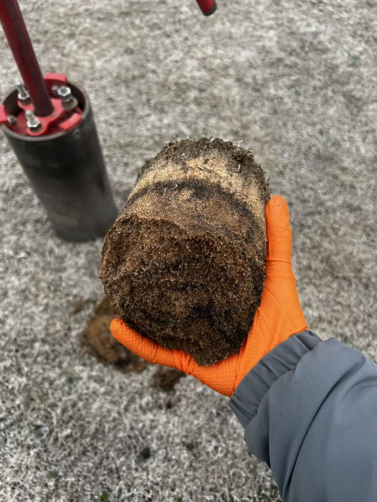 A person that has on an orange glove holding a cylinder-shaped pile of soil that is three inches in diameter and three inches deep.