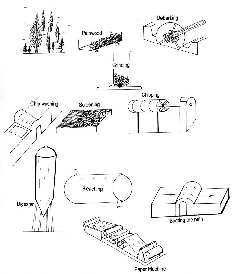 Basics of Paper Manufacturing