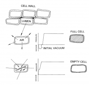 Schematics illustration between full-cell and empty-cell treatment methods. Schematics illustration between full-cell and empty-cell treatment methods.