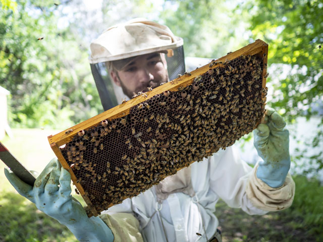 The Importance of Beekeepers & How They Keep Honeybees Safe