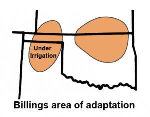Billings are of adaptation.