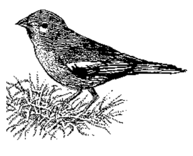 A drawing of a bird on top of a nest.
