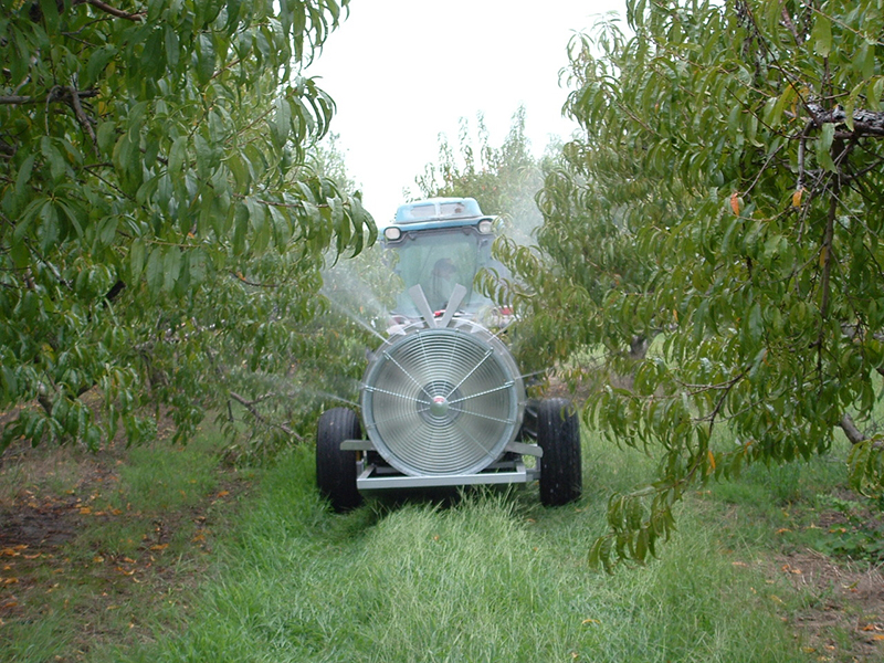 An airblast sprayer spraying a peach orchard