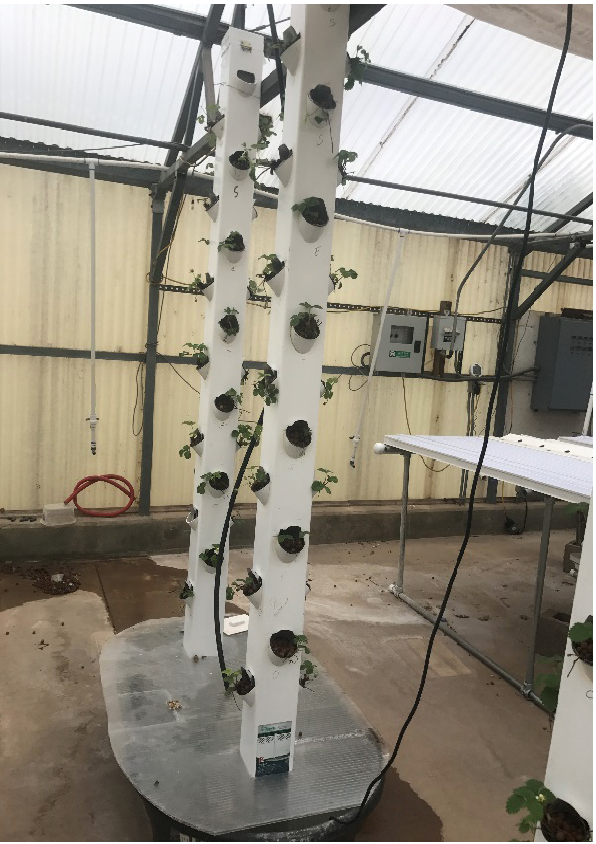 Building A Vertical Hydroponic Tower Oklahoma State University - Indoor Tower Garden Diy