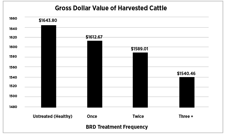 Gross dollar value of harvested cattle. Untreated $1643.80, Once $1612.67, Twice $1589.01, Three + $1540.46