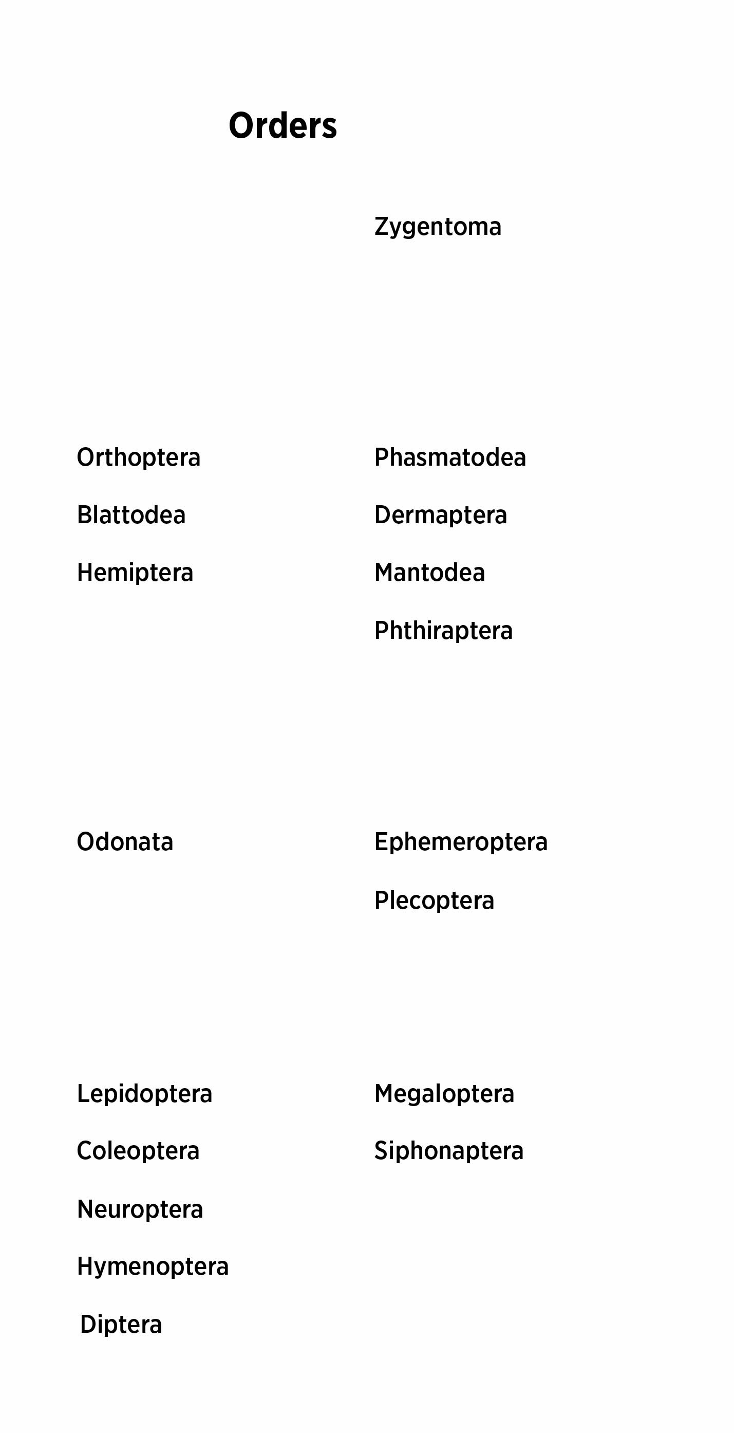 Diagram listing insect orders, including Orthoptera, Blattodea, Hemiptera, Odonata, Lepidoptera, Coleoptera, Diptera and Hymenoptera, alongside other insect classifications.