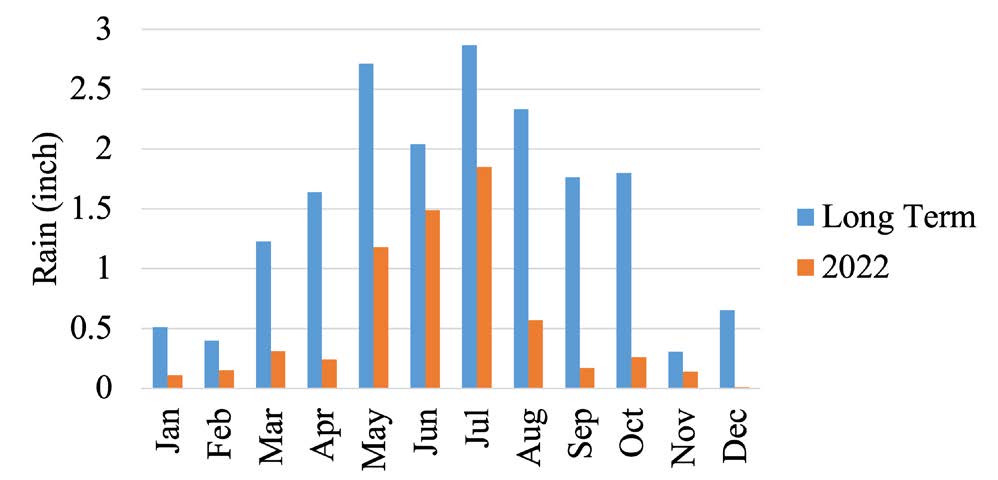 A bar graph comparing long term and the year,2022, rain (inches) through January - December.