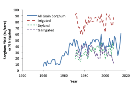 Historic average yield for all grain sorghum grown in the panhandle Historic average yield for all grain sorghum grown in the panhandle