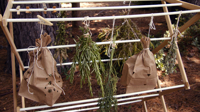 A laundary rack with herbs hanging A laundary rack with herbs hanging