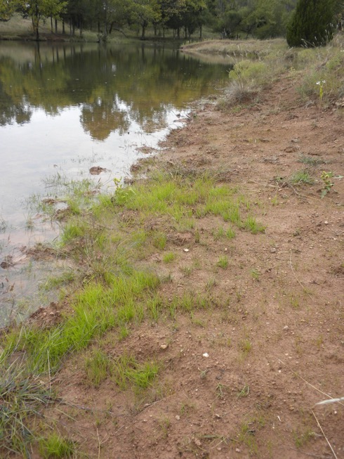 A pond with a shallow sloping edge around it.