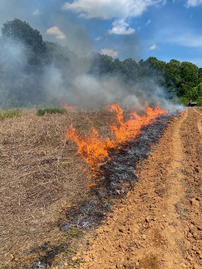 A controlled burn of dried grass in a field.