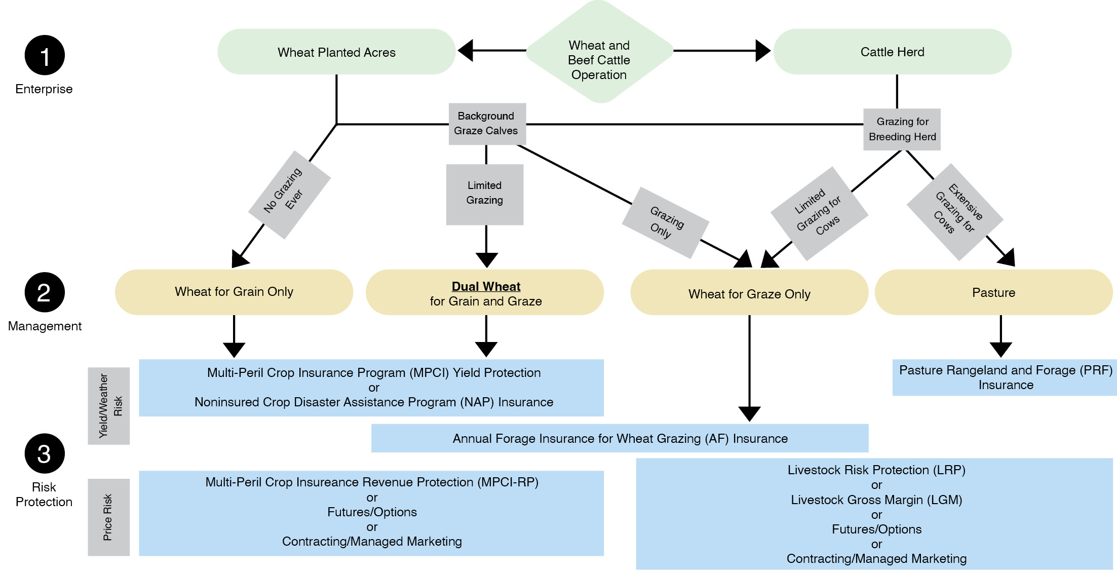 This graph has number 1 Enterprise in the top left. “Wheat and Beef Cattle Operation” on the top middle pointing to “Wheat Plant Acres” and “Cattle Herd”. Below that is “Background Graze Calves” and Grazing for Breeding Herd”. Below that is “No Grazing Ever”, “Limited Grazing”, “Grazing Only”, Limited Grazing for Cows” and “Extensive Grazing for Cows”. Below that is Number 2 Management on the left side. The categories in the middle of the graph. “Wheat for Grain Only”, “Dual Wheat for Grain an d Graze”, “Wheat for Graze Only” and “Pastor”. “Wheat for Grain Only”, “Dual Wheat for Grain an d Graze” are pointing to “Multi-Perl Crop Insurance Program (MPCI) Yield Protection or Noninsured Crop Disaster Assistance Program (NAP) Insurance”. “Wheat for Grain Only” is pointing to “Annual Forage Insurance for Wheat Grazing (AF) Insurance”. “Pastor” is pointing to “Pasture Rangeland and Forage (PRF) Insurance”. On the bottom number three Risk Protection Price Risk. “Multi-Perl Crop Insurance Revenue Program (MPCI-RP) or Futures/Options or Contracting/Managed Marketing”. And on the bottom right “livestock Risk Protection (LRP) or Livestock Gross Margin (LGM) or Futures/Options or Contracting/Managed Marketing”.