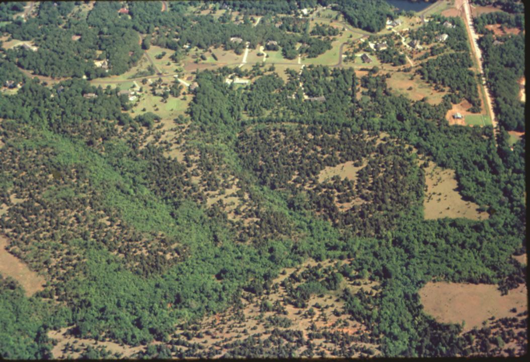 This is an aerial photo of land full of red cedar.