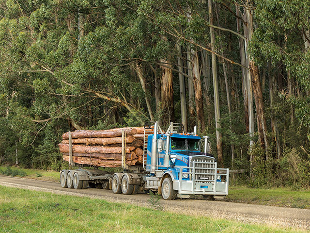 A blue logging truck loaded with freshly cut logs drives along a rural road, surrounded by tall trees and green grass.