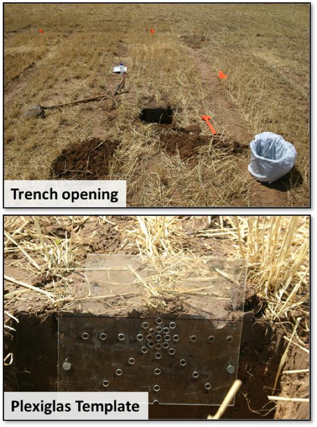 Upper photo illustrates the trench opening procedure adopted in field, perpendicular to wheat rows, with the objective to evaluate the pH distribution in the soil profile.