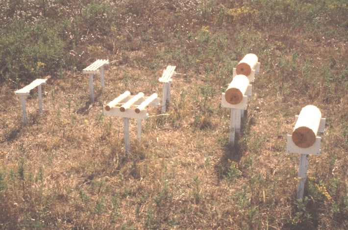 Fuel sticks in a field. Fuel sticks in a field.