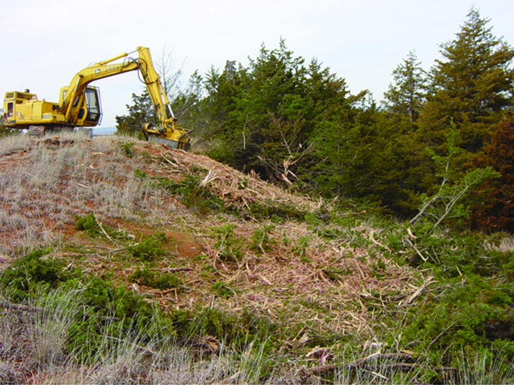 A grinder removing brush piles along a firebreak. A grinder removing brush piles along a firebreak.