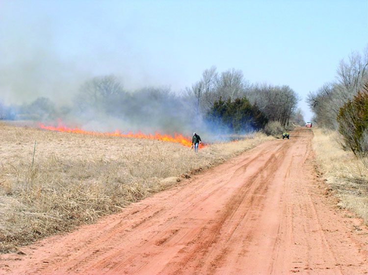 Firebreaks For Prescribed Burning | Oklahoma State University