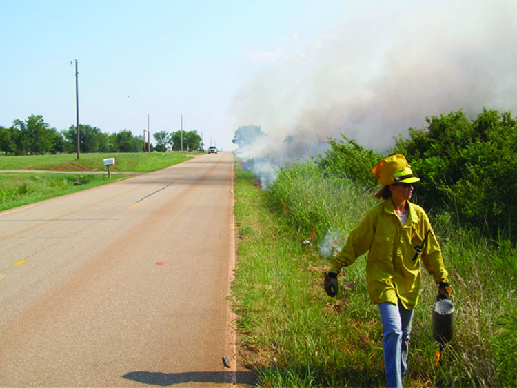 A paved road used as a firebreak. A paved road used as a firebreak.