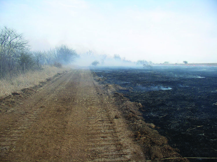 A dozed road firebreak. A dozed road firebreak.