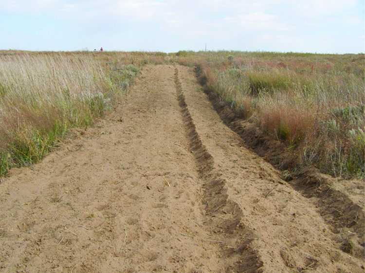 Firebreaks for Prescribed Burning Oklahoma State University