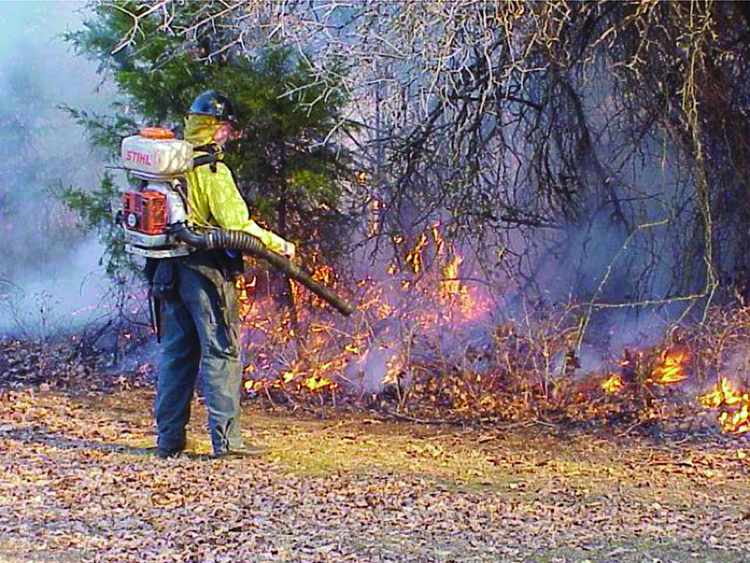 A man prepairing a fire. A man prepairing a fire.