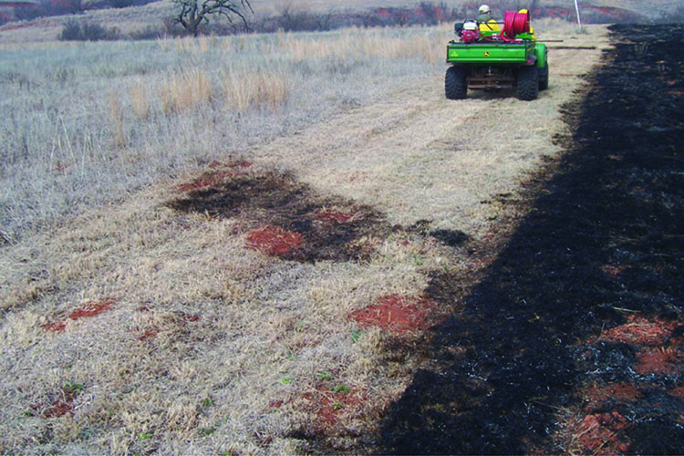 A burnt field. A burnt field.