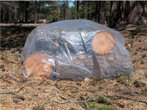 Small logs of wood under a clear tarp in a grassy field.