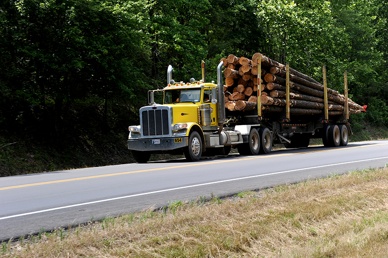 A truck carrying tree logs.