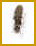 small anf very blurry image of a bug