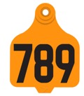 789 Orange ID Ear Tag.
