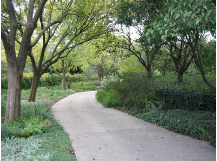 The trees along this pathway provide an implied edge to the path and an overhead canopy The trees along this pathway provide an implied edge to the path and an overhead canopy