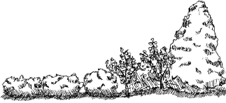 Gradual transition Gradual transition