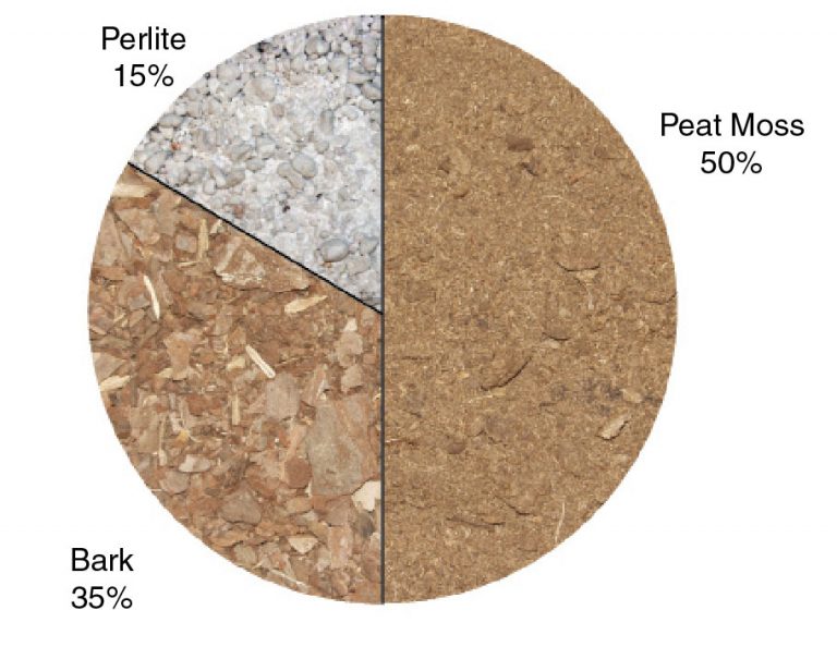 A pie chart showing the percentages for a potting medium; 50 percent peat moss, 35 percent bark and 15 percent perlite.