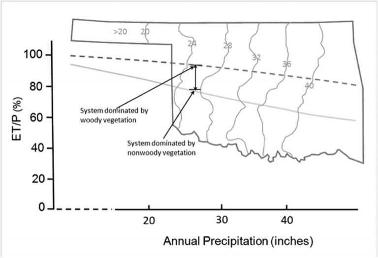 The general relationship between ET/P and annual precipitation developed for woody and non-woody (grass) plants from over 250 watersheds worldwide superimposed on the Oklahoma precipitation map. The two lines represent the percent of precipitation evaporated (also called the ET/P ratio) from watersheds for woody vegetation and grass cover at a given site and climate. The difference between the woody vegetation and grass lines represents a potential increase in ET that may occur following redcedar encroachment. A corresponding loss in streamflow and groundwater recharge may occur as a result if ET is higher.
