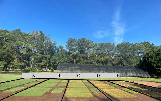 A green field of grass with a sod storage sitting on top underneath a blue sky, that has the letters A through E spread across in a grey box that is close to the storage unit. This is to demonstrate the different storage durations with A being the lowest and on the left hand side and E being the highest on the right hand side.