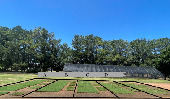 A patchy field of grass with a sod storage that has the letters A through E spread across in a grey box that is close to the storage unit. This is to demonstrate the different storage durations with A being the lowest and on the left hand side and E being the highest on the right hand side.