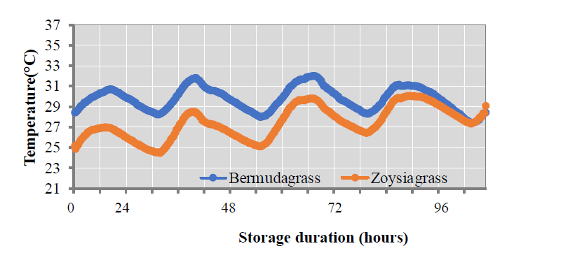 A line graph of the internal temperatures of bermudagrass sod rolls (blue) and zoysiagrass sod pallets (orange) harvested in early June 2023. The highest temperature of bermudagrass was at 32 degress at 68 hours of storage, and the lowest was at 28 degrees at 100 hours. The highest temperature for zoysiagrass was at nearly 29 degree at 90 hours and the lowest at 25 degrees at 0 hours.
