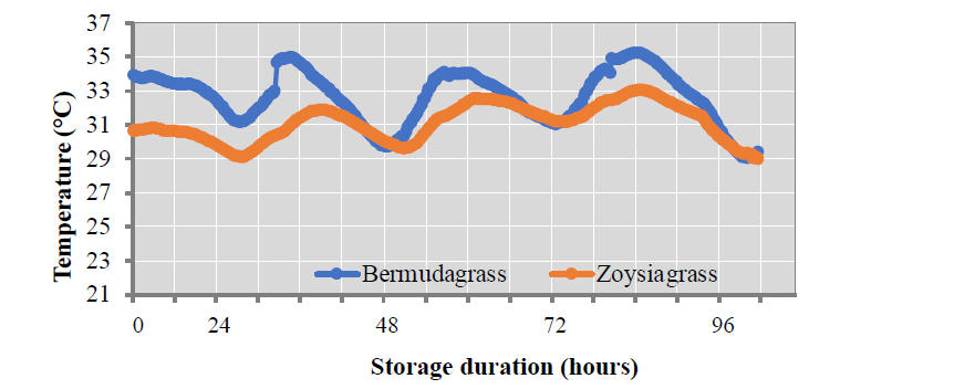 A line graph of the internal temperatures of bermudagrass sod rolls (blue) and zoysiagrass sod pallets (orange) harvested in late June 2023. The highest temperature of bermudagrass was at 35 degress at 36 hours of storage, and the lowest was at 29 degrees at 48 hours. The highest temperature for zoysiagrass was at 33 degree at 90 hours and the lowest at 29 degreed at 102 hours.