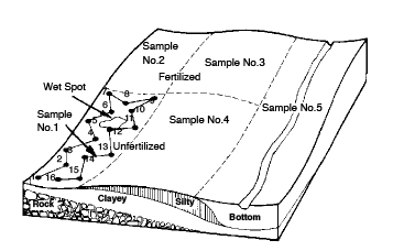 Diagram of a rectangle with 1 through 5 sampling areas to show where to collect a good soil sample in different areas like rock, clayey, silty, wet spot, fertilized and unfertilized locations.