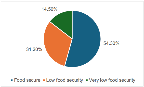 A pie chart that is divided into food security (54.3%), low food security (31.2%) and very low food security (14.5%).