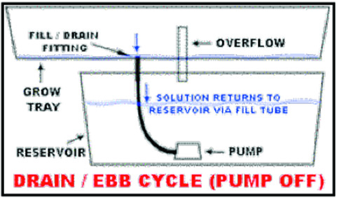 The Ebb and Flow System