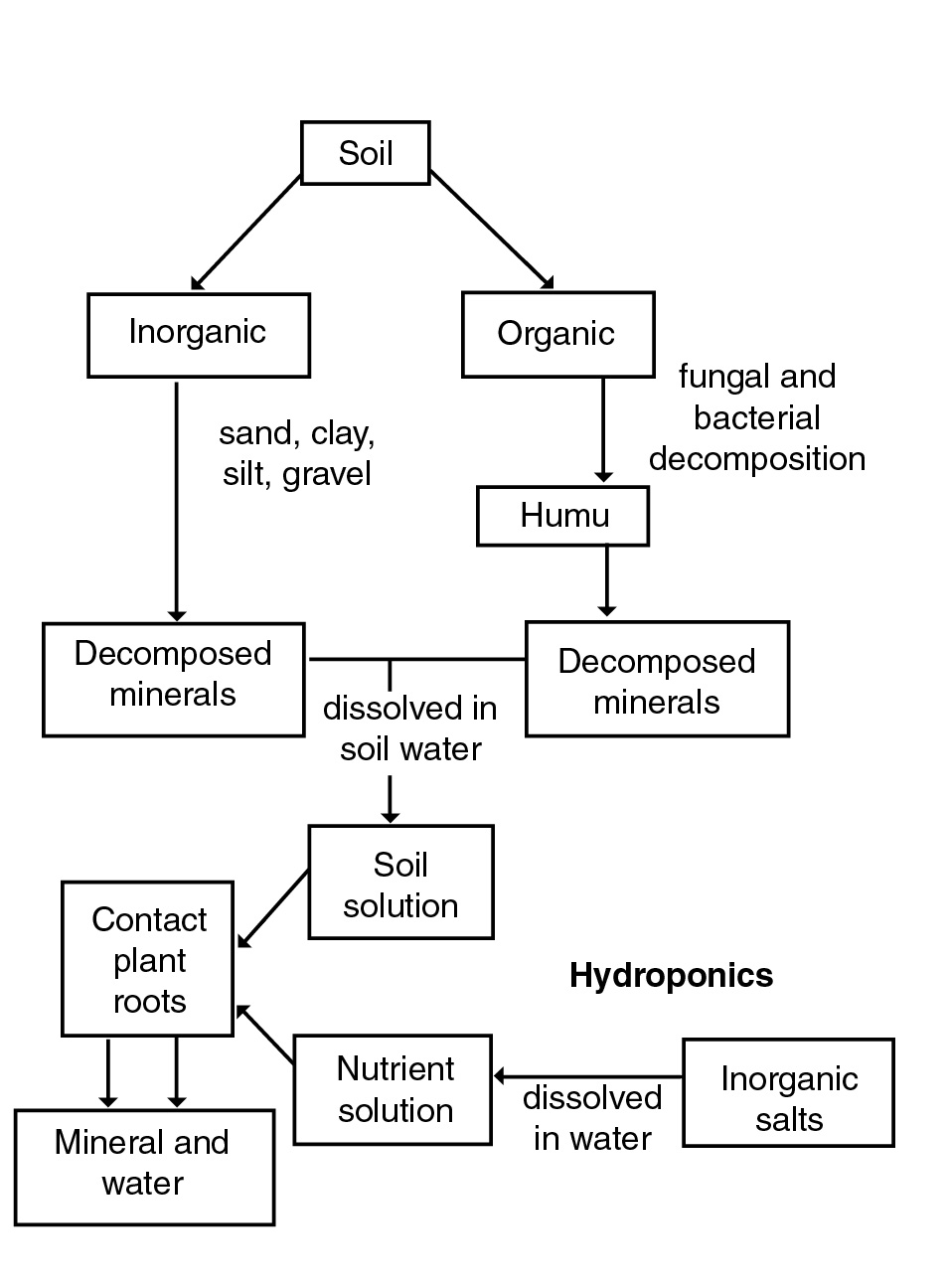 Origin of essential elements in soil and hydroponics