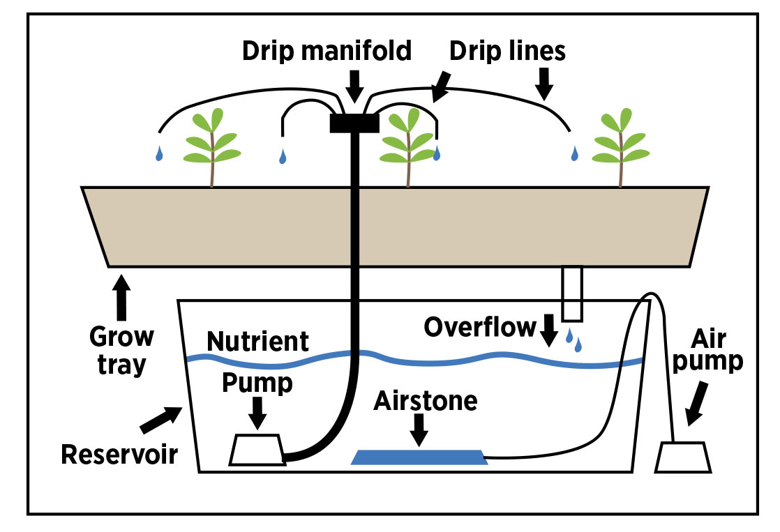 This is the Drip System with the “Grow tray” on top with a “Drip manifold and Drip lines”. A “Reservoir” on the bottom with. Nutrient, pump, ayirstone, air pump and overflow in the reservoir.