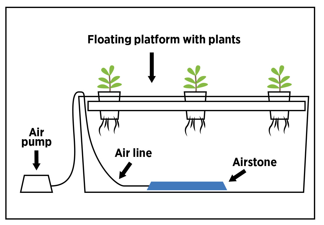 This is the Water culture system with the “Floating platform with plants” on top a “Reservoir” on the bottom. Their is a “Airstone” on the bottom of the reservoir and a “Air pump” on the side with a “Air line”.