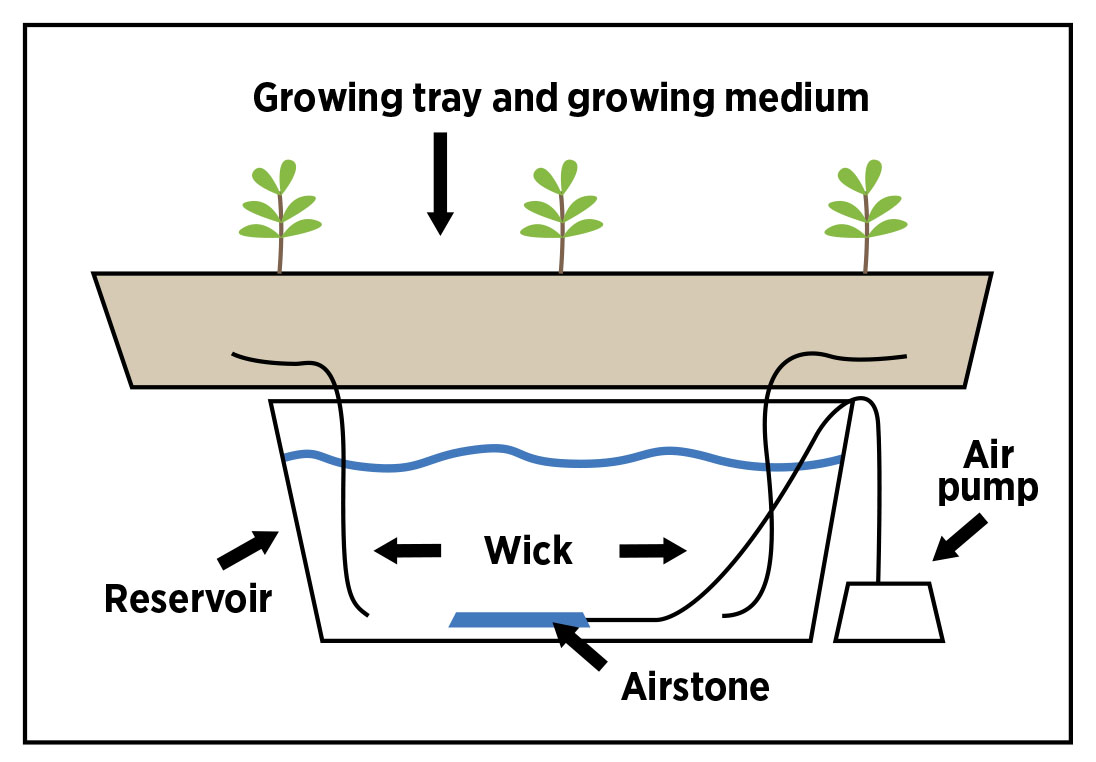 This is the Wick System with the “Growing tray and growing medium” on top a “Reservoir” on the bottom with “Wick” moving water from reservoir to growing tray. There is a “Airstone” on the bottom and a “Air pump” on the side.